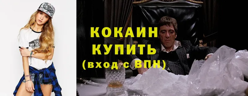 цена   Хотьково  Cocaine Fish Scale 